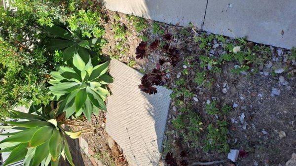 ufficio in vendita a Quartu Sant'Elena