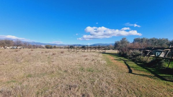 terreno agricolo in vendita a Quartu Sant'Elena