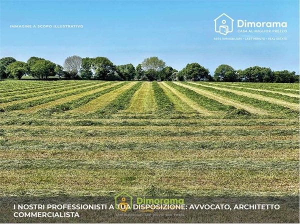 terreno agricolo in vendita a Quartu Sant'Elena