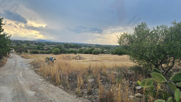 terreno agricolo in vendita a Quartu Sant'Elena in zona Niu Crobu