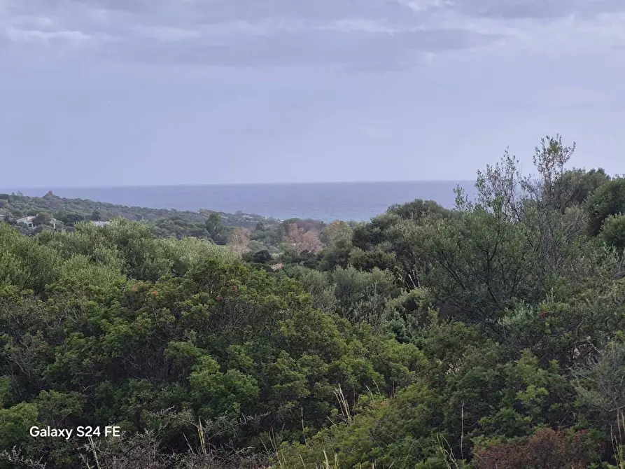 terreno edificabile in vendita a Quartu Sant'Elena in zona Is Meris