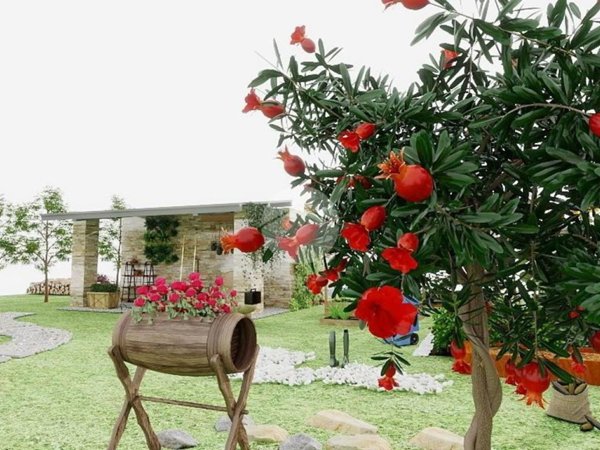 casa indipendente in vendita a Quartu Sant'Elena in zona Flumini di Quartu