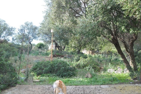 terreno edificabile in vendita a Quartu Sant'Elena