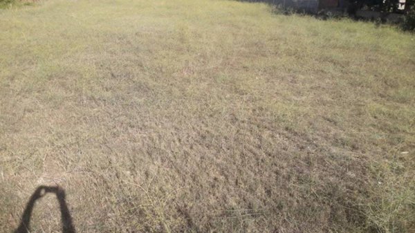 casa indipendente in vendita a Quartu Sant'Elena