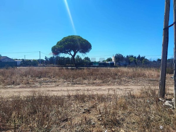 terreno agricolo in vendita a Quartu Sant'Elena