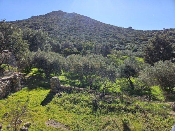 appartamento in vendita a Quartu Sant'Elena