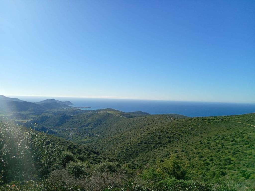 casa indipendente in vendita a Quartu Sant'Elena in zona Geremeas