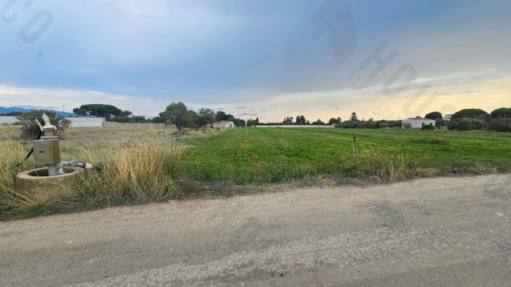 terreno agricolo in vendita a Quartu Sant'Elena in zona Pitz'e Serra