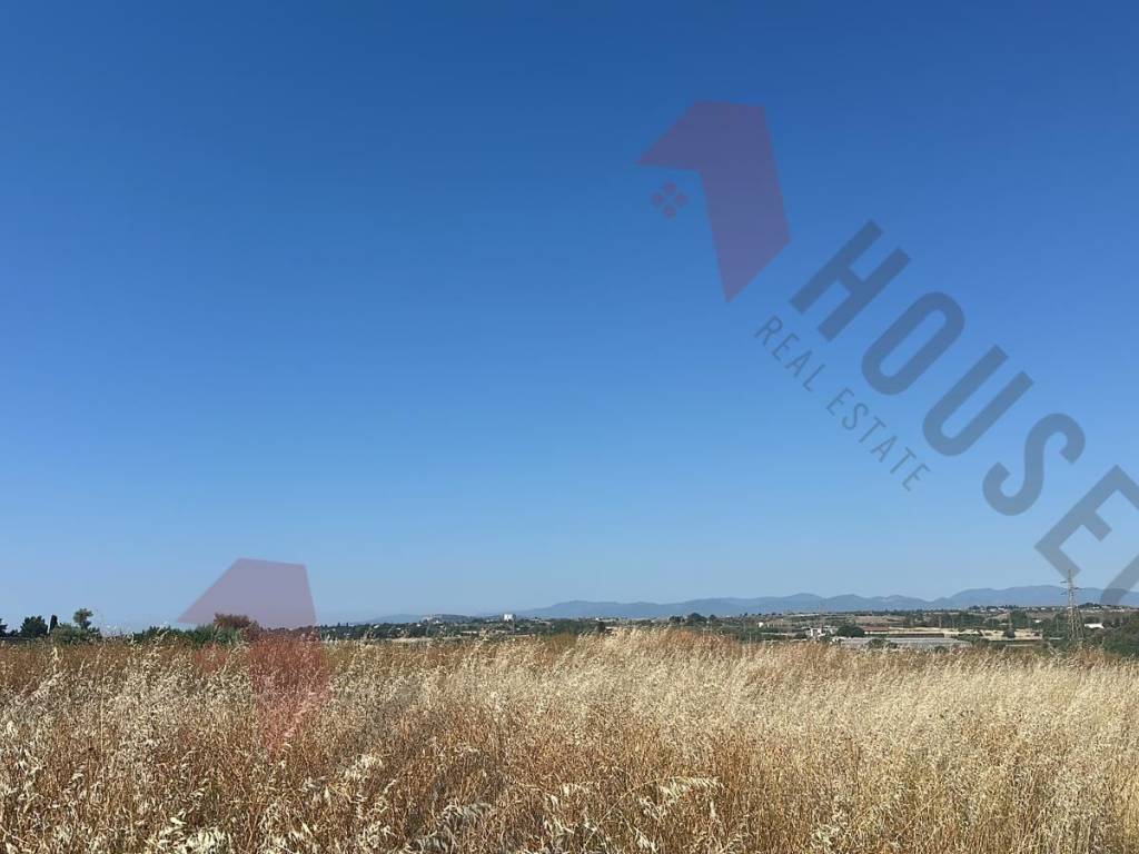 terreno agricolo in vendita a Quartu Sant'Elena in zona Simbirizzi