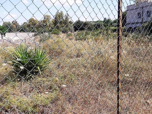 terreno agricolo in vendita a Quartu Sant'Elena in zona Sant'Andrea