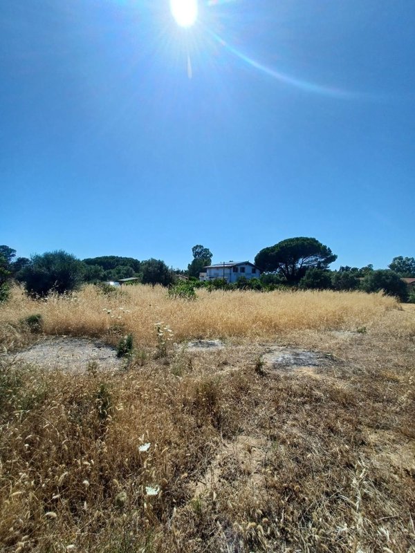 terreno agricolo in vendita a Quartu Sant'Elena