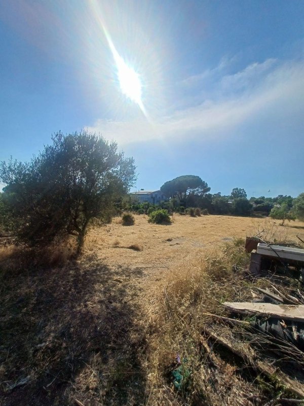 terreno agricolo in vendita a Quartu Sant'Elena in zona Niu Crobu