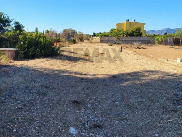 terreno agricolo in vendita a Quartu Sant'Elena in zona Margine Rosso