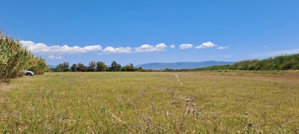 terreno agricolo in vendita a Quartu Sant'Elena