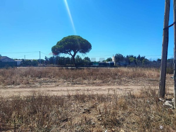 terreno agricolo in vendita a Quartu Sant'Elena