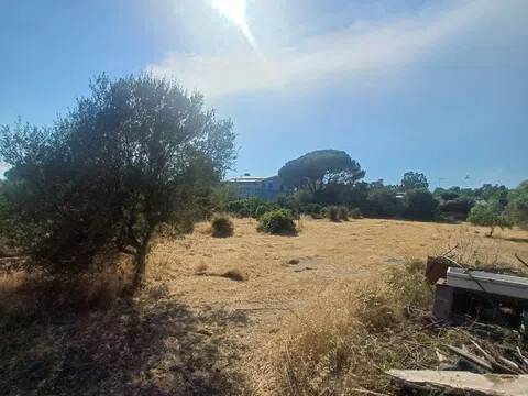 terreno agricolo in vendita a Quartu Sant'Elena