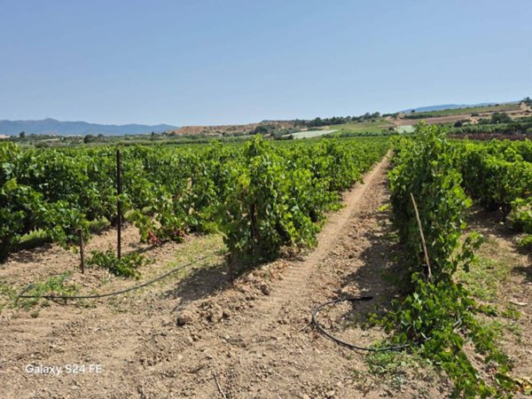 terreno edificabile in vendita a Quartu Sant'Elena in zona Simbirizzi
