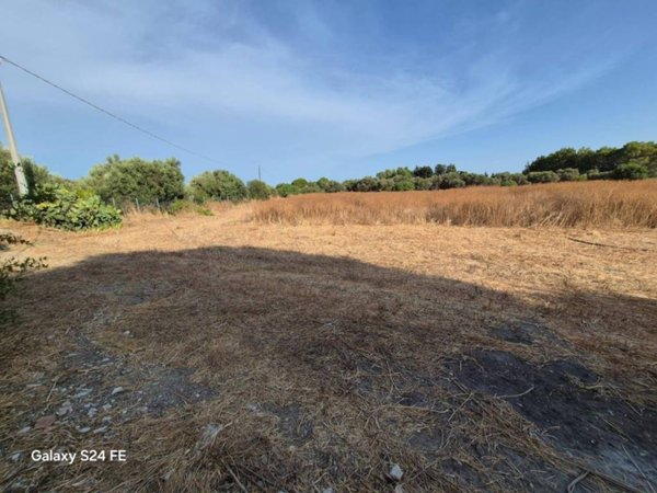 terreno agricolo in vendita a Quartu Sant'Elena