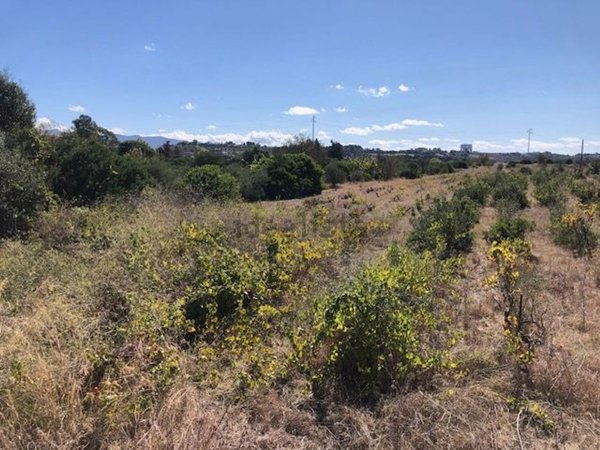 terreno in vendita a Quartu Sant'Elena in zona San Forzorio