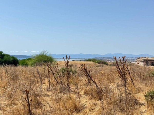 terreno agricolo in vendita a Quartu Sant'Elena in zona San Forzorio