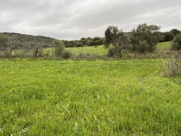 appartamento in vendita a Sarroch