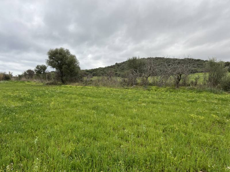 appartamento in vendita a Sarroch