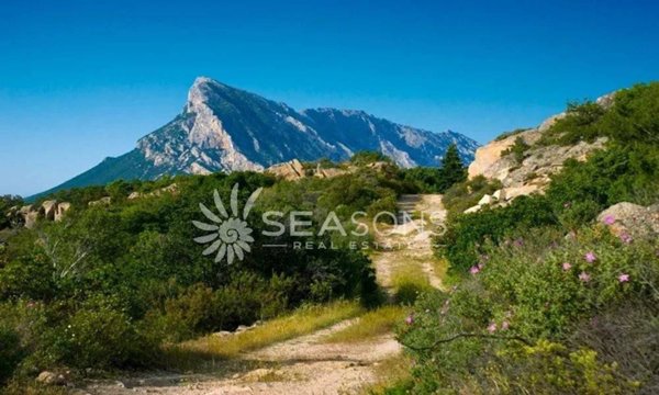 quadrivano in vendita a Sarroch