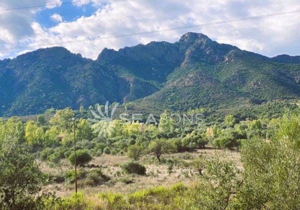 negozio in vendita a Sarroch