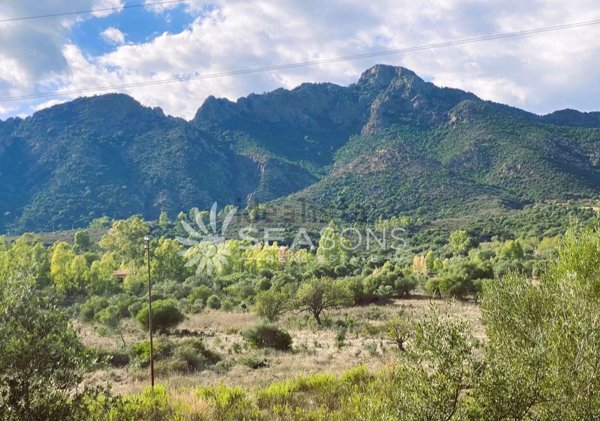 azienda agricola in vendita a Sarroch