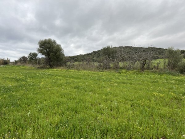 terreno in vendita a Sarroch