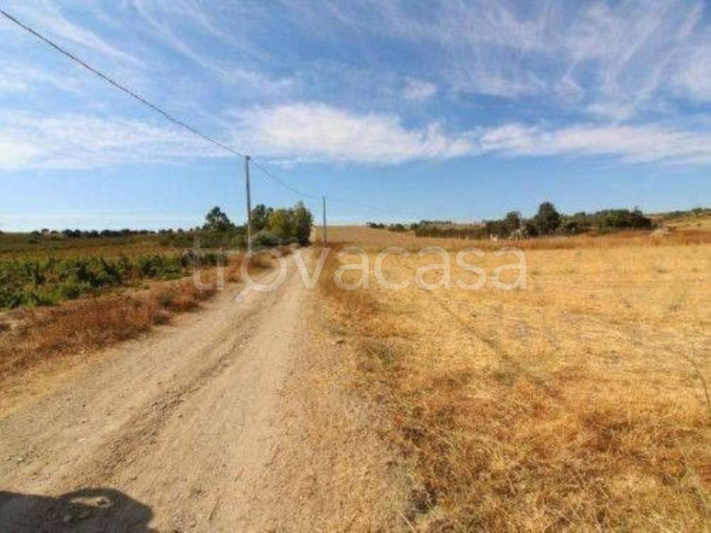 terreno agricolo in vendita a Selargius