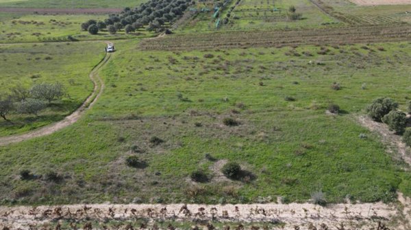 terreno agricolo in vendita a Selargius