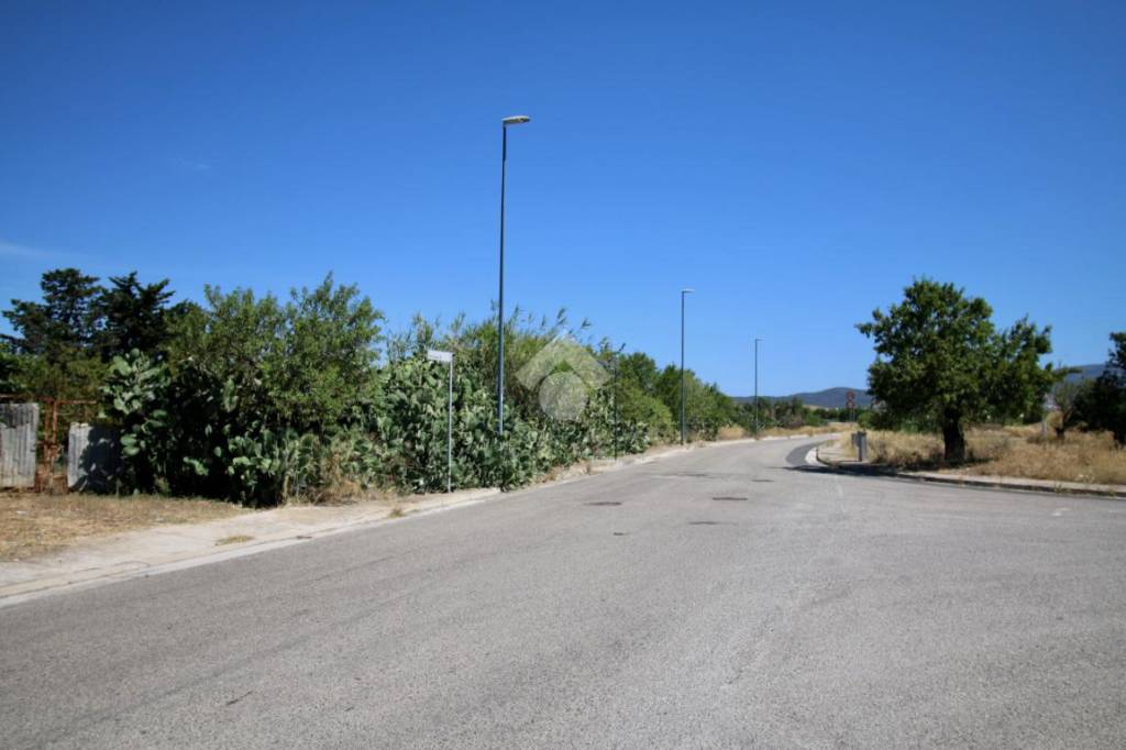 terreno agricolo in vendita a Selargius