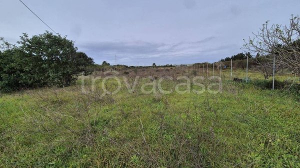 terreno agricolo in vendita a Selargius