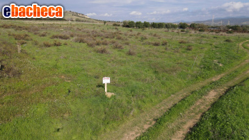 terreno agricolo in vendita a Selargius