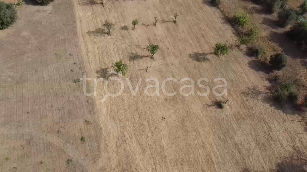 terreno agricolo in vendita a Selargius