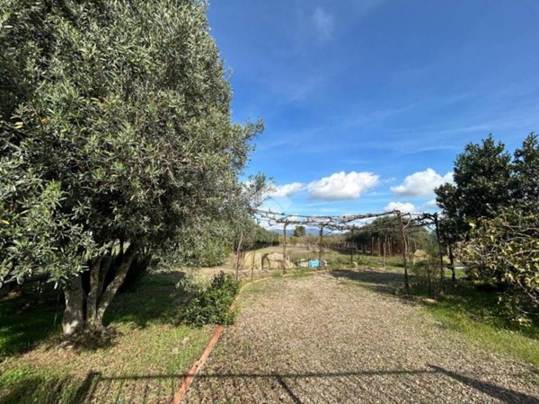casa indipendente in vendita a Selargius