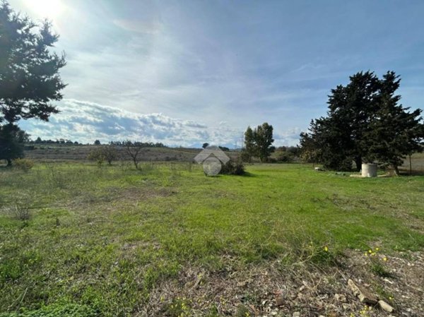 terreno agricolo in vendita a Selargius
