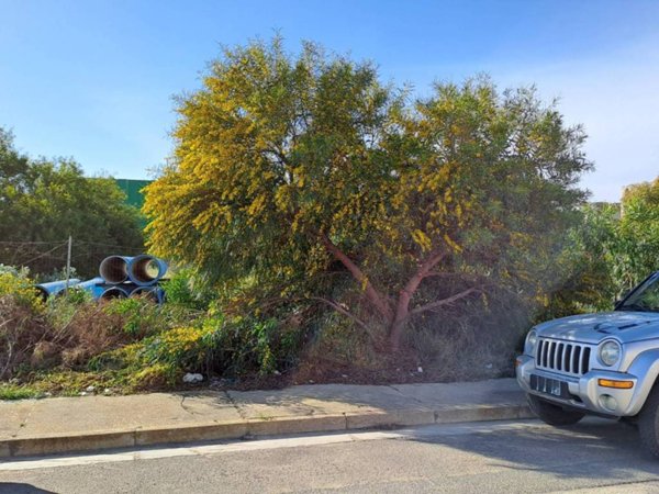 terreno edificabile in vendita a Selargius