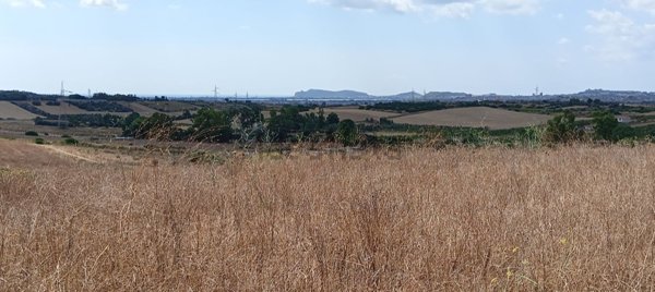 terreno agricolo in vendita a Selargius