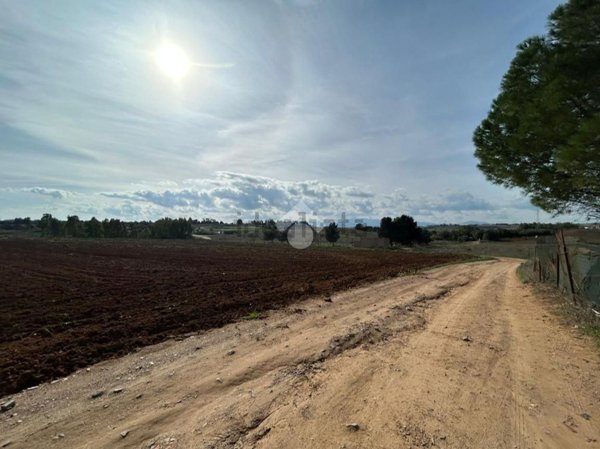 terreno agricolo in vendita a Selargius