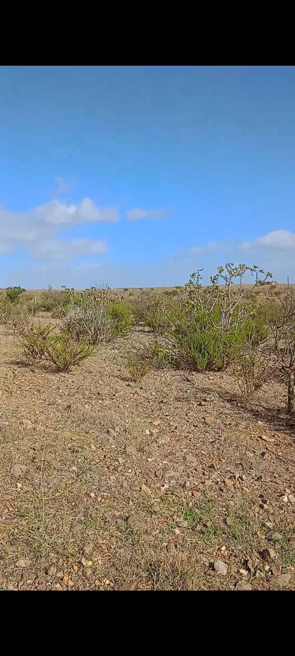 casa indipendente in vendita a Selargius