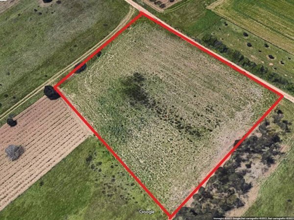 terreno agricolo in vendita a Selargius