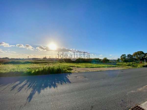 terreno agricolo in vendita a Selargius