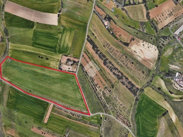 terreno agricolo in vendita a Selargius