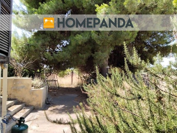 casa indipendente in vendita a Selargius