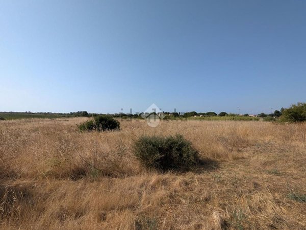 terreno agricolo in vendita a Selargius