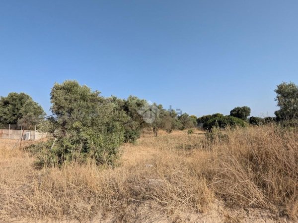 terreno agricolo in vendita a Selargius