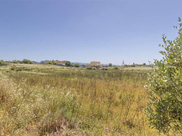 terreno agricolo in vendita a Selargius in zona Su Planu