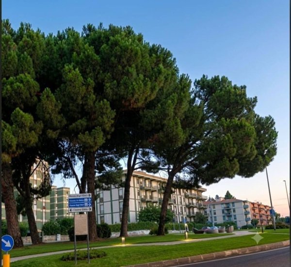 appartamento in vendita a Selargius